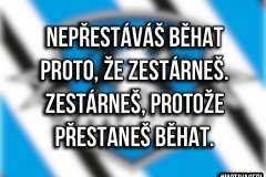 motivace11
